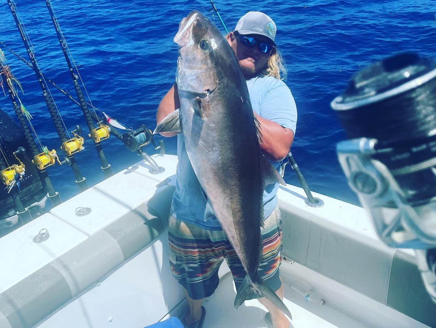 Amberjack Reel